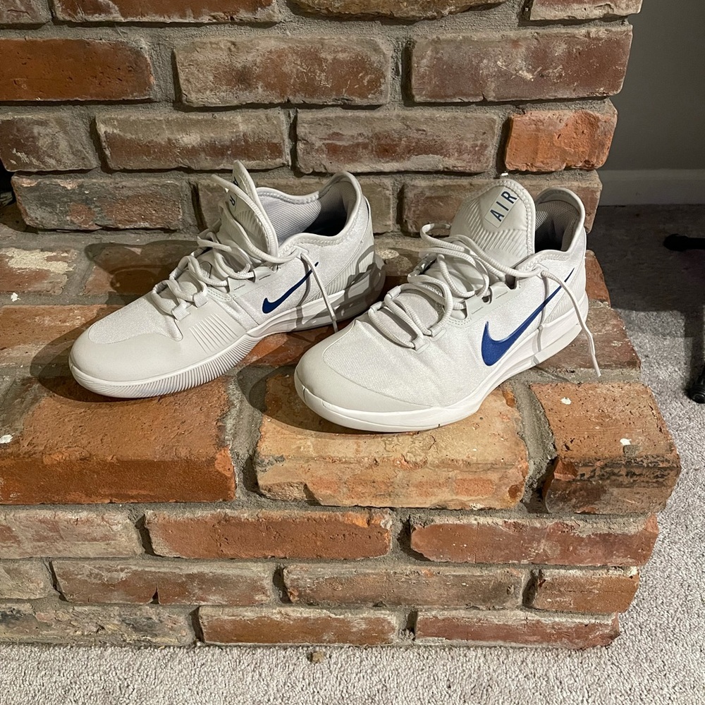 Nike air max wildcard